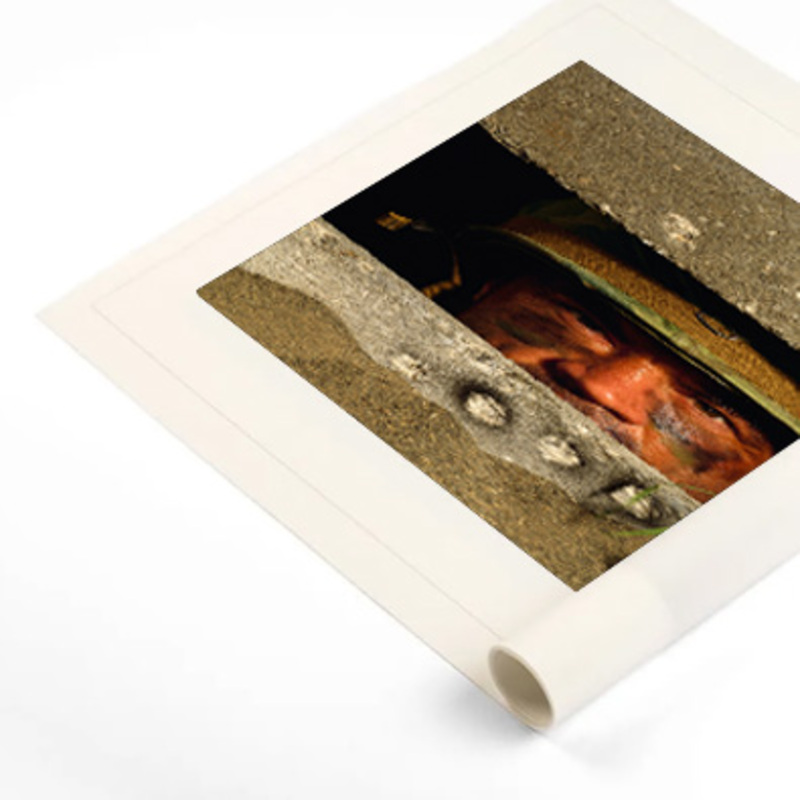 Canvas Art Prints - High-Quality Custom Prints for Home & Office Decor