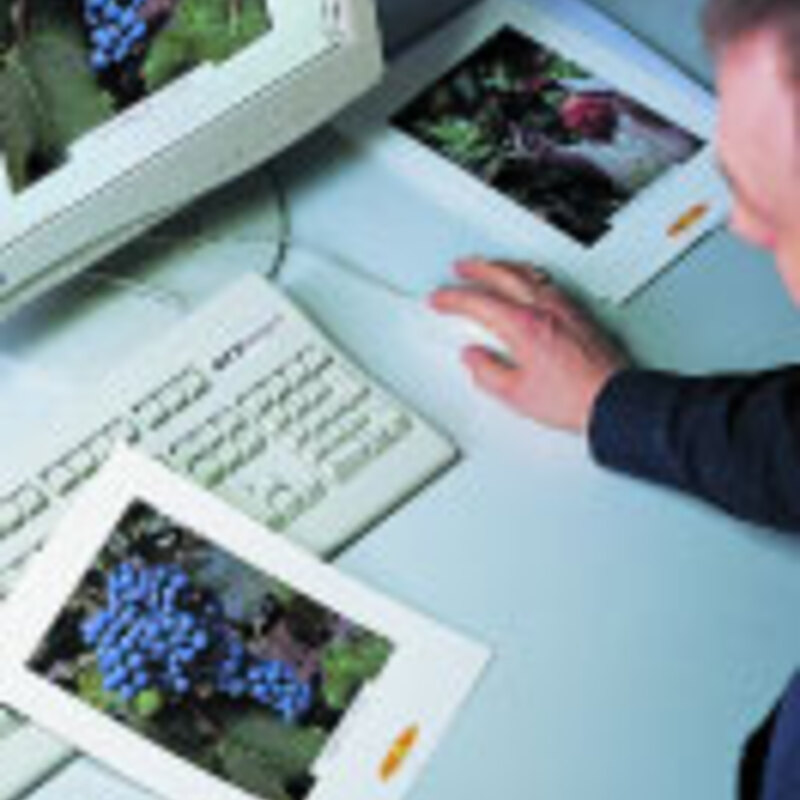 Professional Photo Scan to USB - Preserve Your Memories