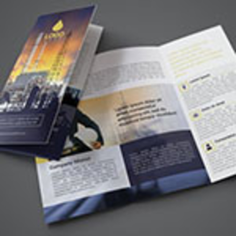 Tri-Fold Brochure - Compact & Informative