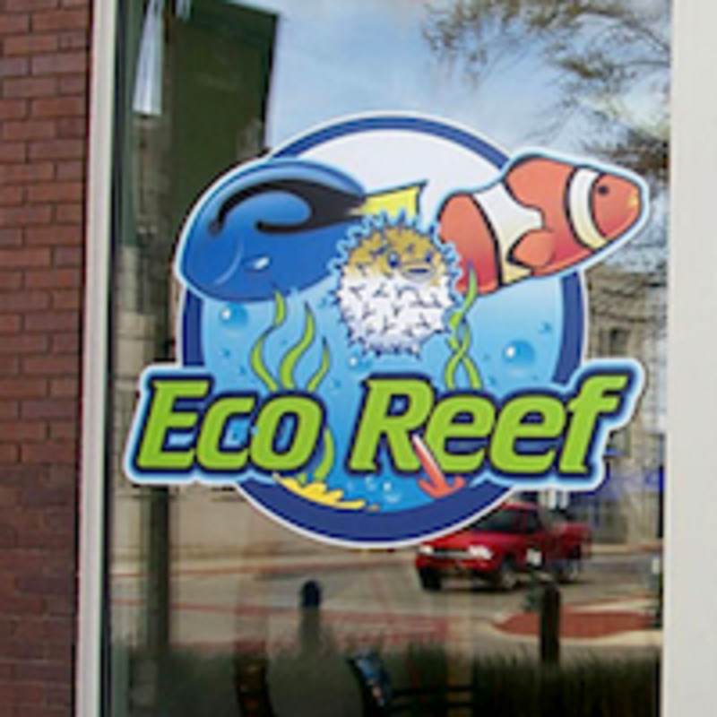 Custom vinyl stickers applied to storefront window for business branding